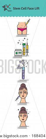 Vector Illustrated set with cosmetology stem cell facelift. Infographics with icons of medical cosmetic procedures.