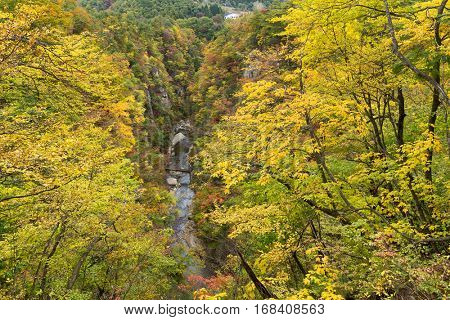 Narukokyo