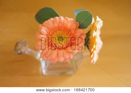 orange garbera flower on a table .