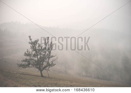 Atmospheric Landscape Of The Olkhon Island Under The Fog In Summer 2015. Lake Baikal, Russian Siberi