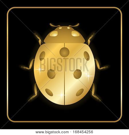 Ladybug Gold Insect Small Icon