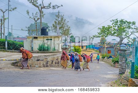 HAPUTALE SRI LANKA - NOVEMBER 30 2016: The tea pickers return to the factory after work in plantations on November 30 in Haputale
