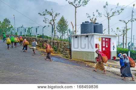 HAPUTALE SRI LANKA - NOVEMBER 30 2016: The tea pickers with big bags return from plantations on November 30 in Haputale