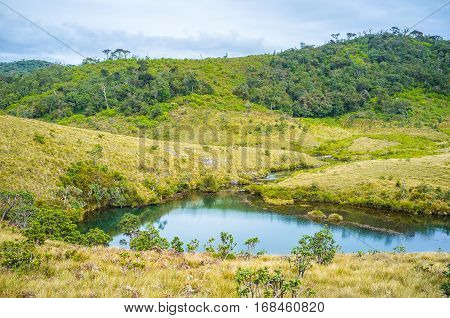 The Backwater In Park