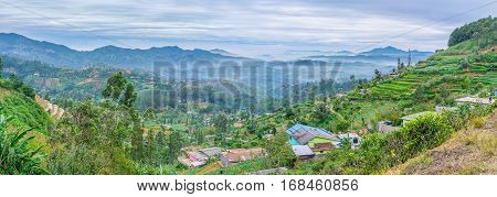 The Scenic Landscape