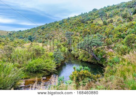 The Small Spring