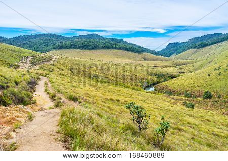 The Long Footpath