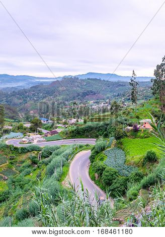 The Twisted Mountain Road