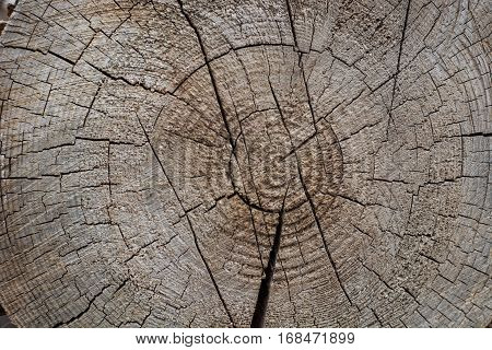 Rustic wooden background. Old wood texture. Ring.