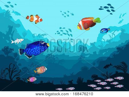 Sea underwater world with bright fish and animals vector illustration