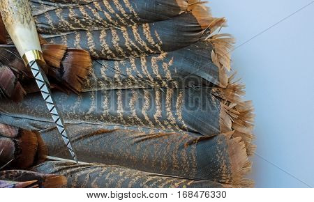Pattern filed into spine of damascus knife featured on antler handle blade on top of turkey feathers