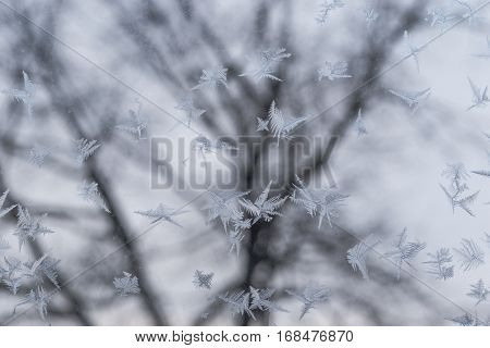 Frosted glass at -5 Celsius degrees. Winter at the Krasnodar, south Russia.