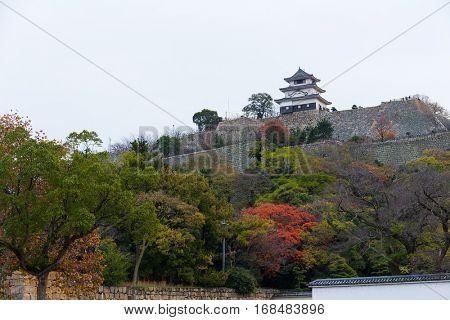 Marugame Castle in Japan at autumn