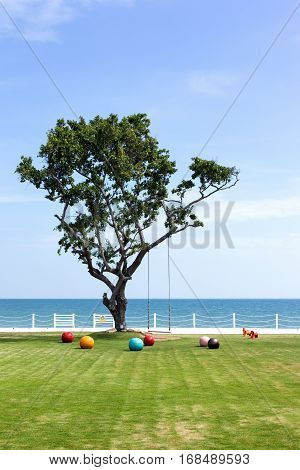 Sky Sea Park and the Big Tree