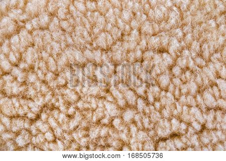 Woolly sheep fleece texture - furry background
