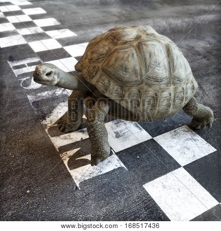 Slow and steady wins the race. A turtle crossing the finish line of a race. Ambition , goals ,determination, successful , achievement concept in business and life .  3d rendering