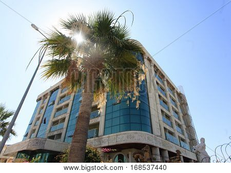 DIDIM TURKEY - JULY 9 2014. Outside view of the hotel next to a palm tree.