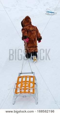 child drags a sled up the hill.
