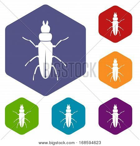Beetle insect icons set rhombus in different colors isolated on white background