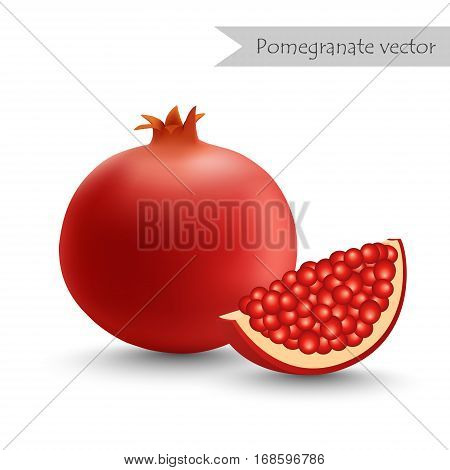 Pomegranate vector isolated on white background. Pomegranate slice.