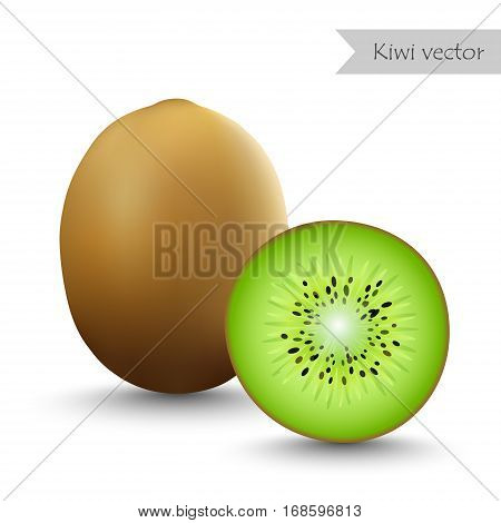 Kiwi vector isolated on white background. Half kiwi.