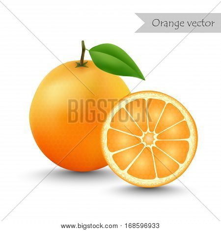 Orange vector isolated on white background. Half orange.