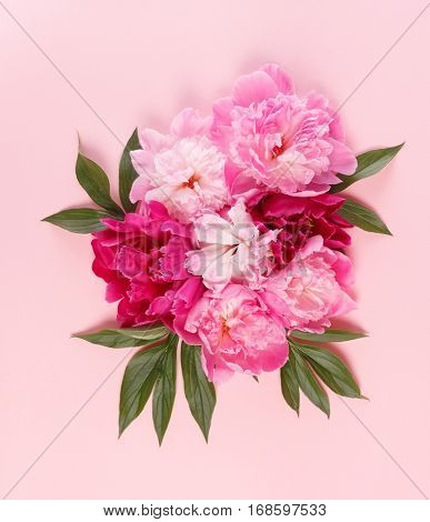 nice peonies