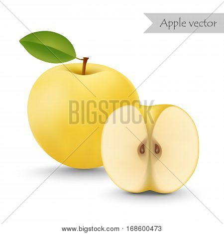 Yellow apple vector isolated on white background. Half apple.