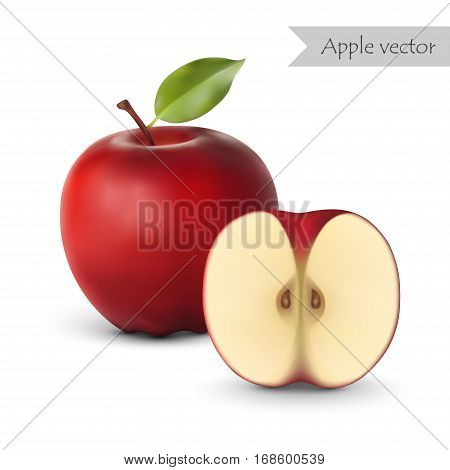 Red apple vector isolated on white background. Half apple.