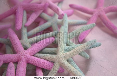 Mucchio di starfish pastello su una rosa 