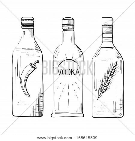 Sketch three different bottles of vodka. Pepper classical and wheat. Vector illustration.