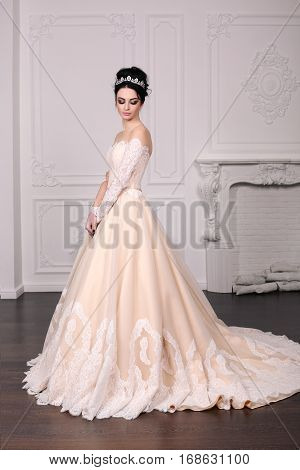 Gorgeous Bride With Dark Hair In Luxuious Wedding Dress