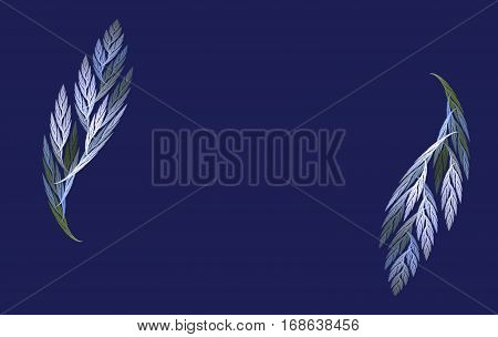 an abstract fractal leaf and a feather