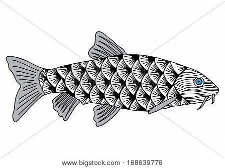 Salmon sturgeon hand drawn skeched vector illustration. Doodle graphic. Object isolated on white