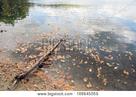 Walden Pond water in Massachusetts in autumn