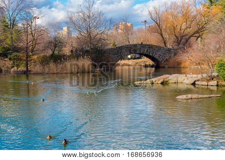 New York City USA -- February 2 2017 -- The Gapstow Bridge in Central Park with ducks swiming in the pond below it.