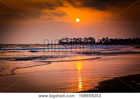 beautiful sunset over the coconut plams on Sri Lanka beach