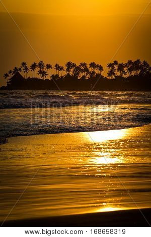 beautiful sunset over the coconut plams on Sri Lanka beach