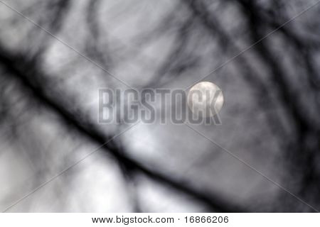 Fondo de la luz de la luna