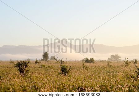 Rise of mist on the savanna and mountains of Tsavo West Park in Kenya