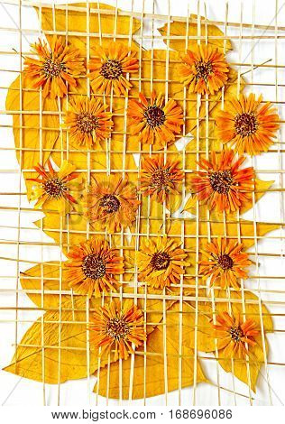 Maple Leaves Chrysanthemum Flowers Under The Grate Of Straw Oil Draw Painting, Photo Manipulation