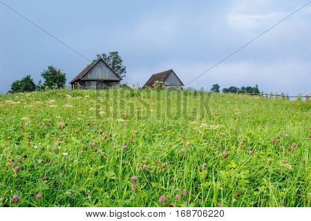 grass field in the mountains, gorgeous spring day
