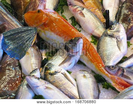 Fresh tasty fish on the market in the store