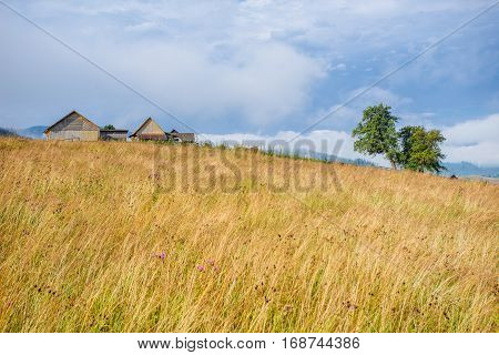 Beautiful sunny day is in mountain landscape.