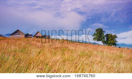 Beautiful sunny day is in mountain landscape.