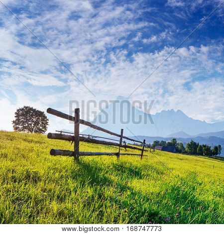 Wooden fence - a beautiful meadow blown Wildflowers at sunset