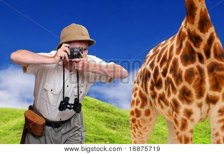 Foto divertente. Fotografo naturalista pazzo e giraffa. Teleobiettivo stile - shallow DOF. Grande per cal