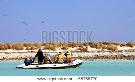 Explorers at the Lacepedes Islands, Kimberley Coast, Western Australia with Brown Boobies (Sula lencogaste) overhead.