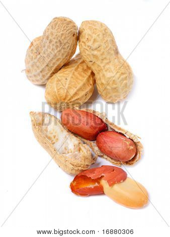 Peanuts - hautnah mit shallow DOF