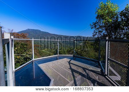 View Point Of Canopy Walk Way At Queen Sirikit Botanic Garden